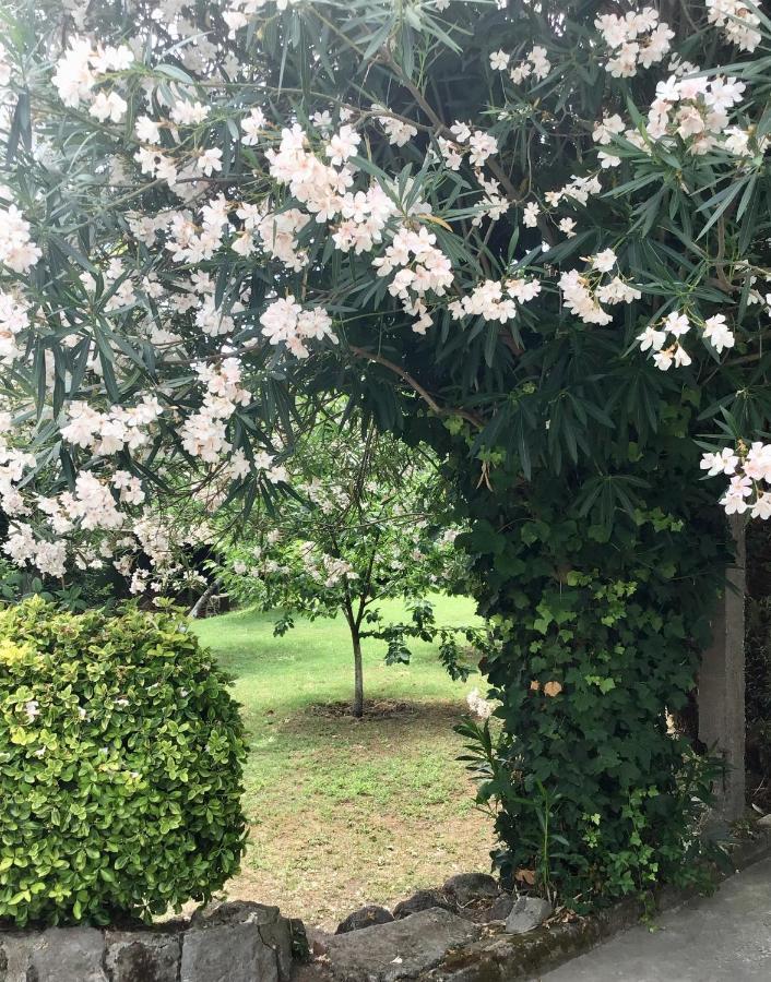 Villa Vincenzo Di Meglio Barano dʼIschia Zewnętrze zdjęcie