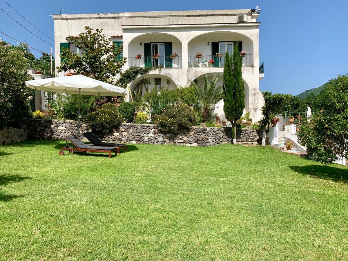 Villa Vincenzo Di Meglio Barano dʼIschia Zewnętrze zdjęcie