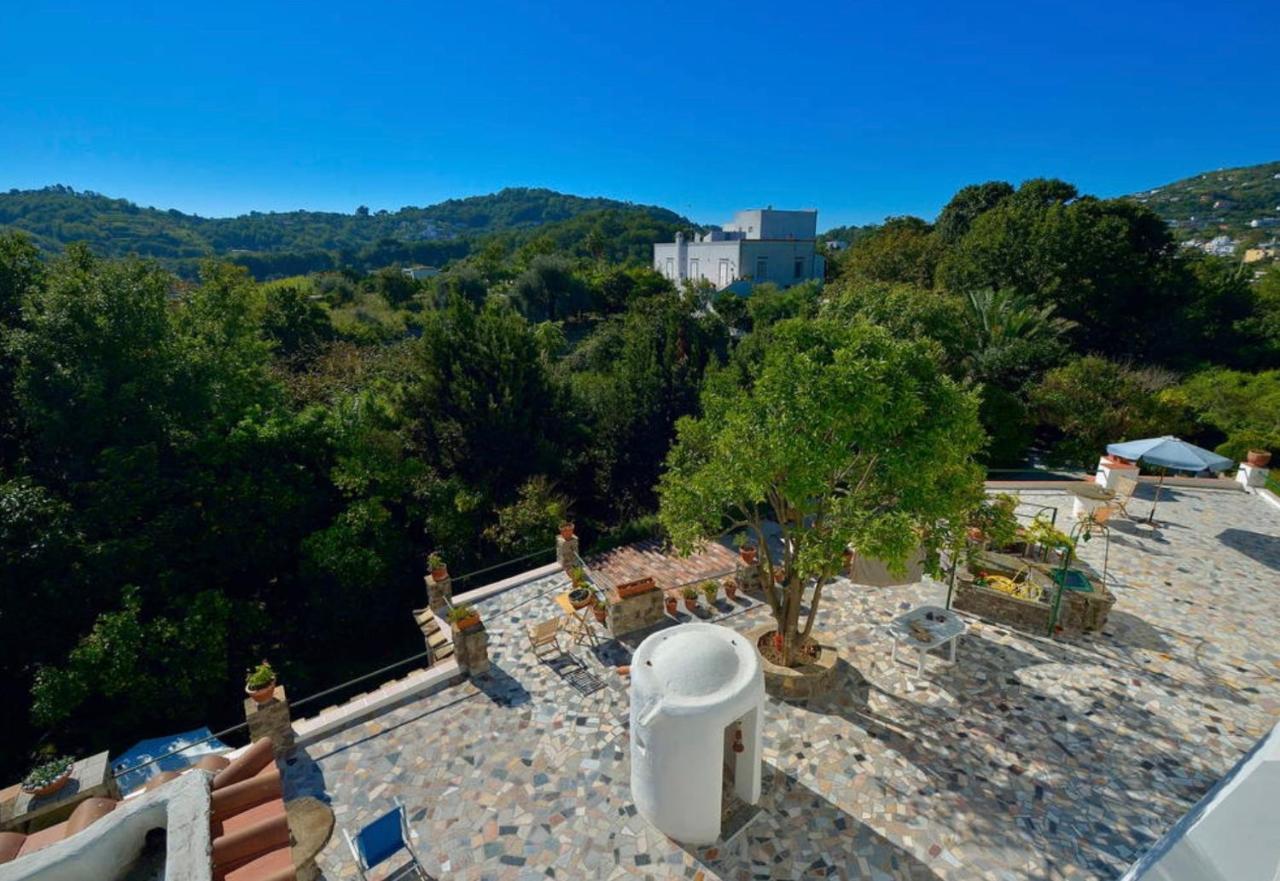 Villa Vincenzo Di Meglio Barano dʼIschia Zewnętrze zdjęcie