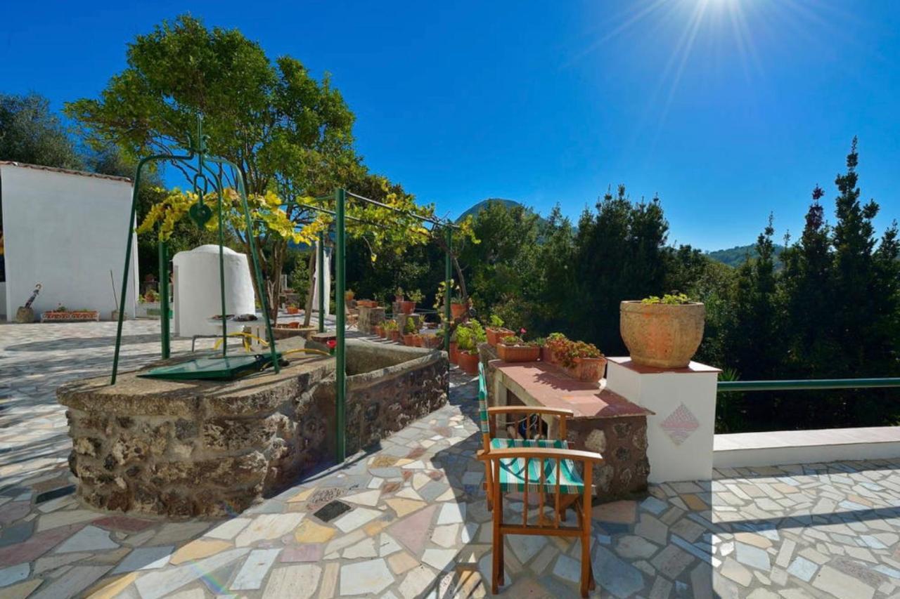 Villa Vincenzo Di Meglio Barano dʼIschia Zewnętrze zdjęcie