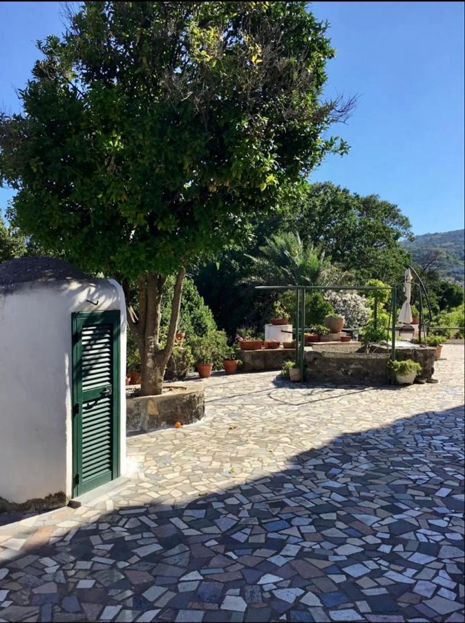 Villa Vincenzo Di Meglio Barano dʼIschia Zewnętrze zdjęcie