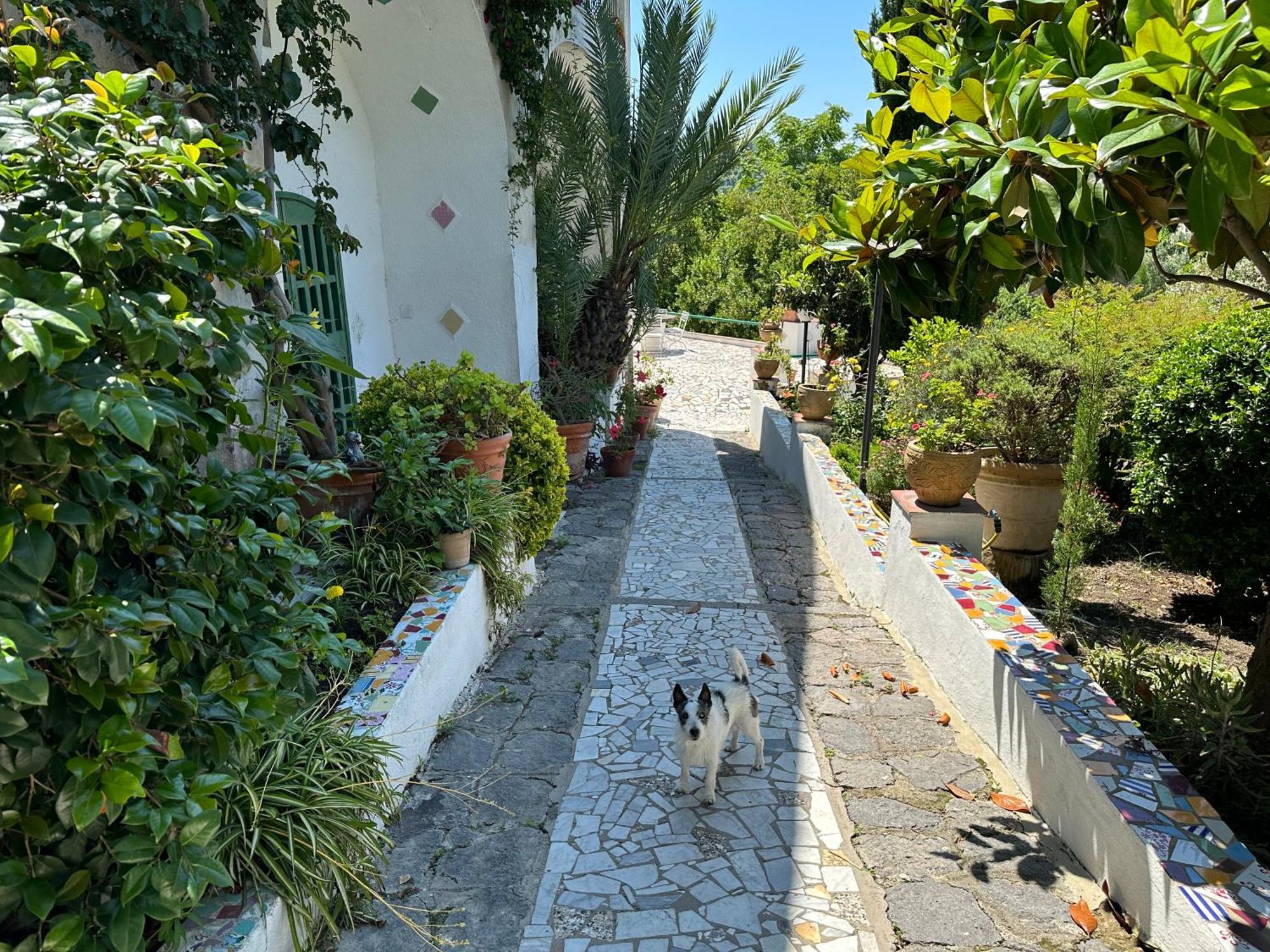 Villa Vincenzo Di Meglio Barano dʼIschia Zewnętrze zdjęcie