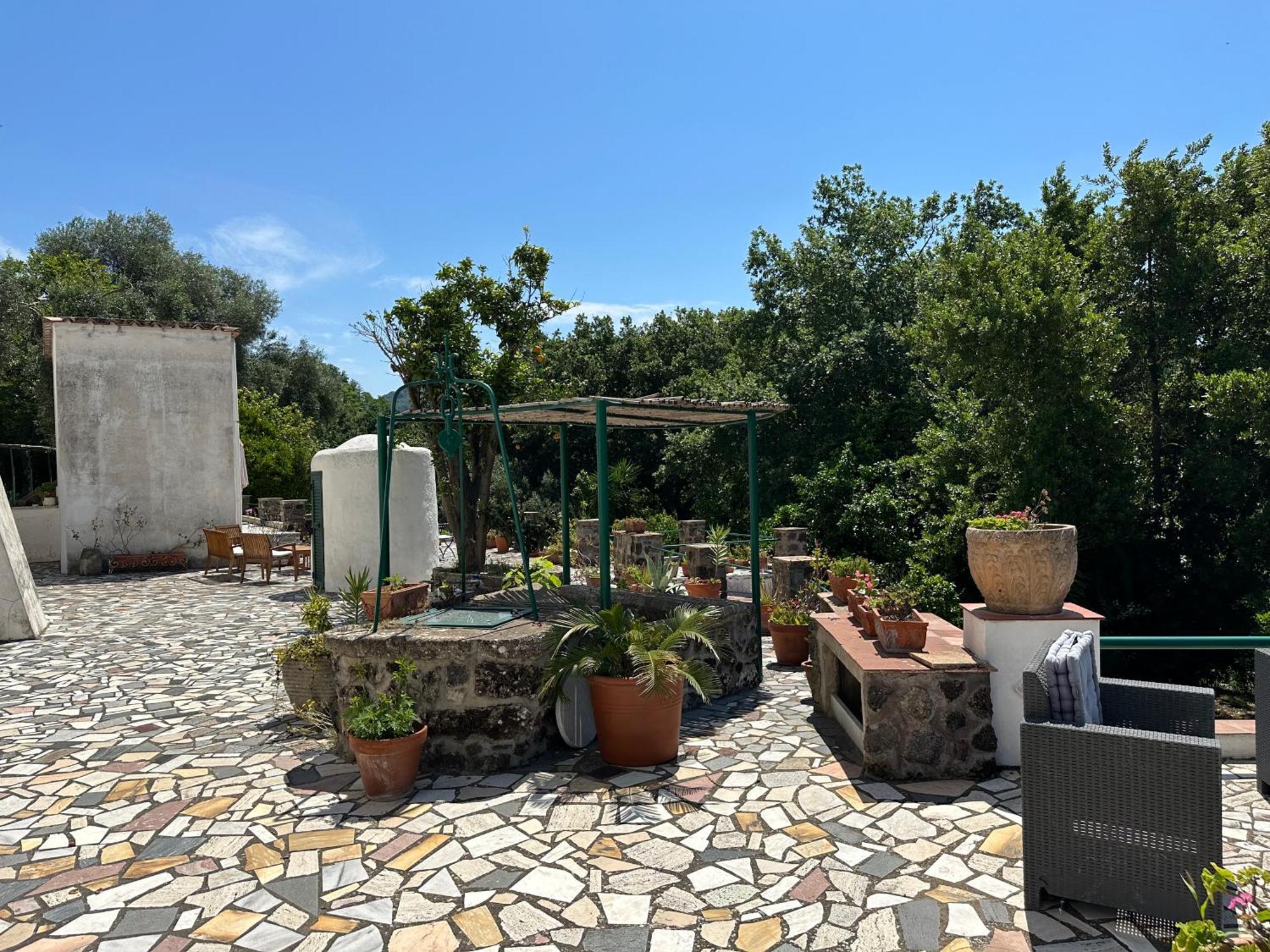 Villa Vincenzo Di Meglio Barano dʼIschia Zewnętrze zdjęcie
