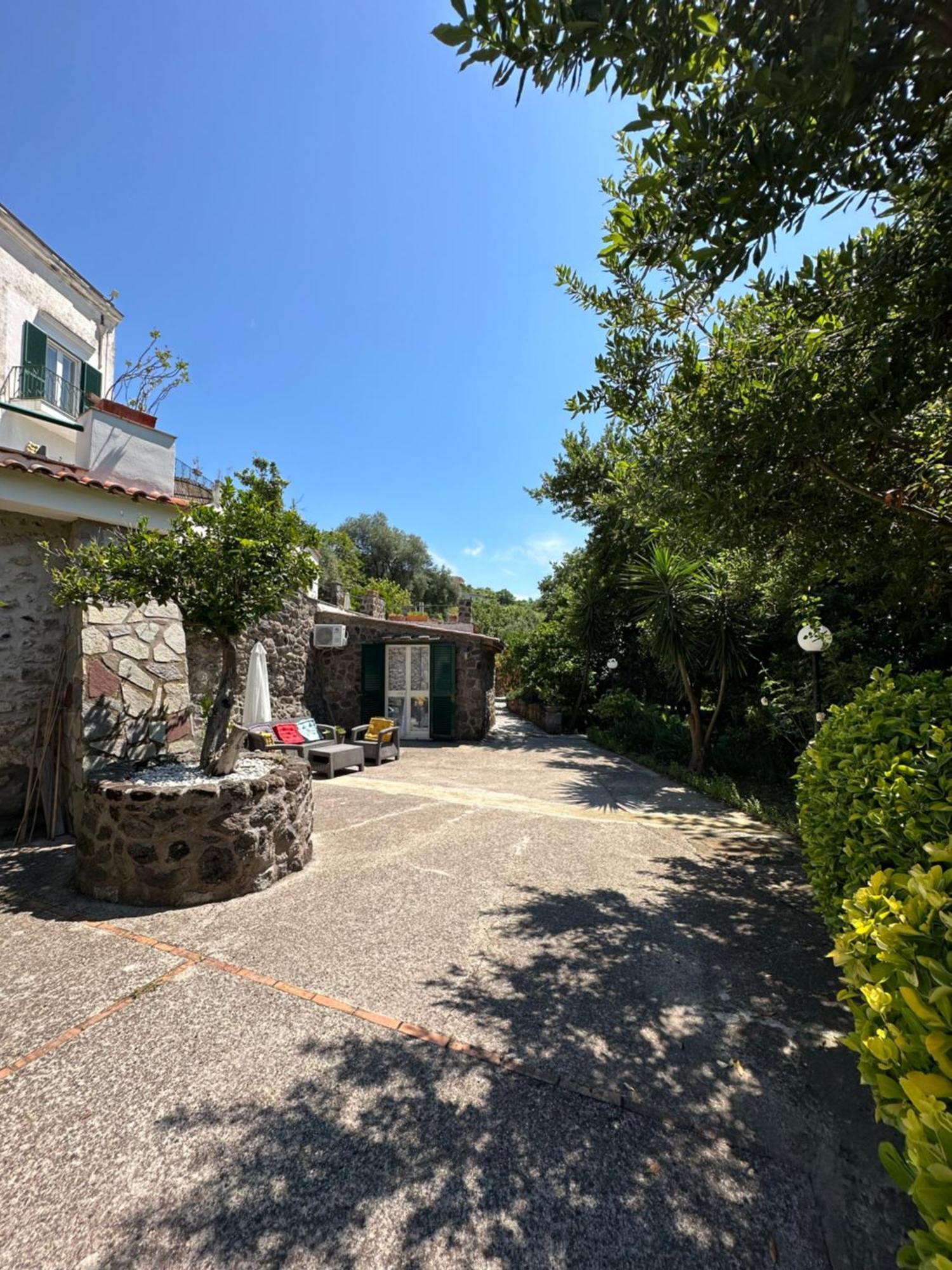 Villa Vincenzo Di Meglio Barano dʼIschia Zewnętrze zdjęcie