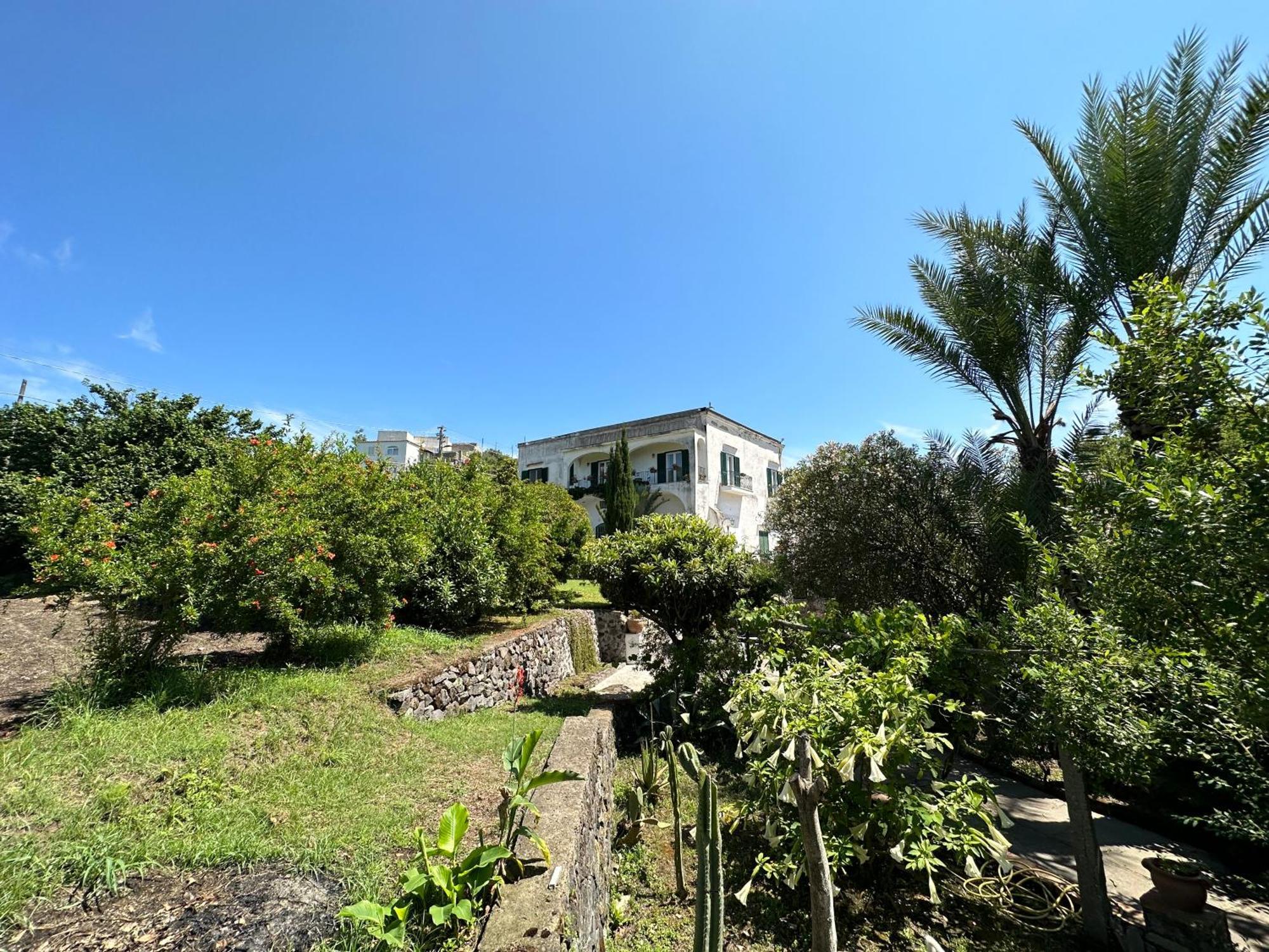 Villa Vincenzo Di Meglio Barano dʼIschia Zewnętrze zdjęcie