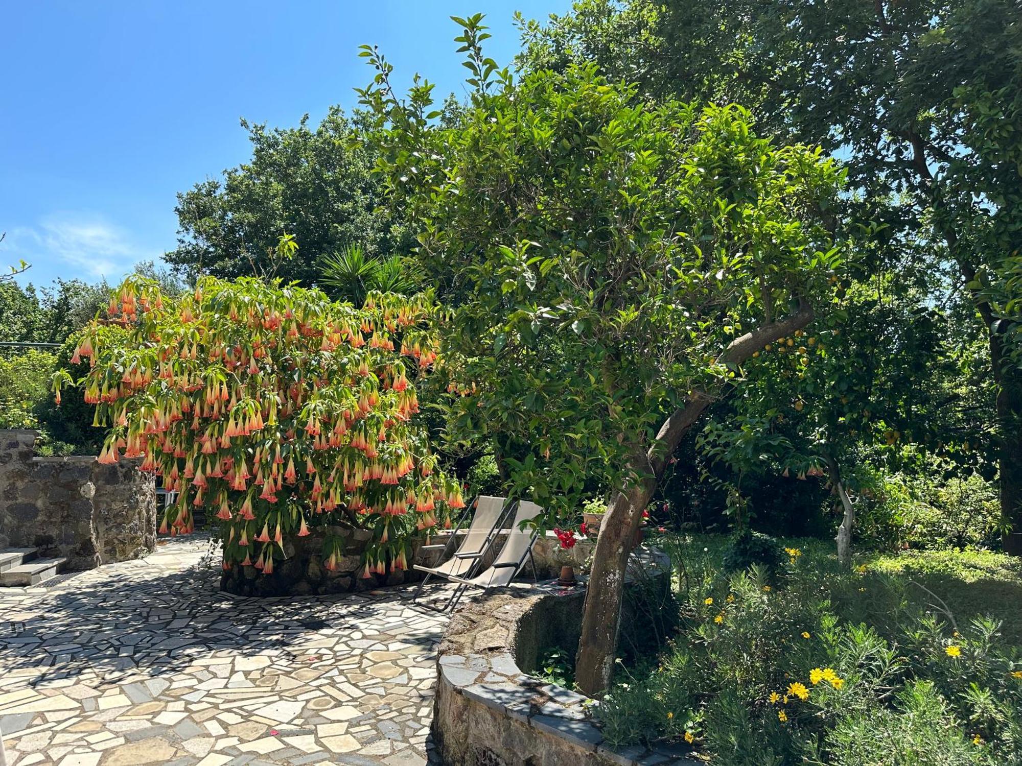 Villa Vincenzo Di Meglio Barano dʼIschia Zewnętrze zdjęcie