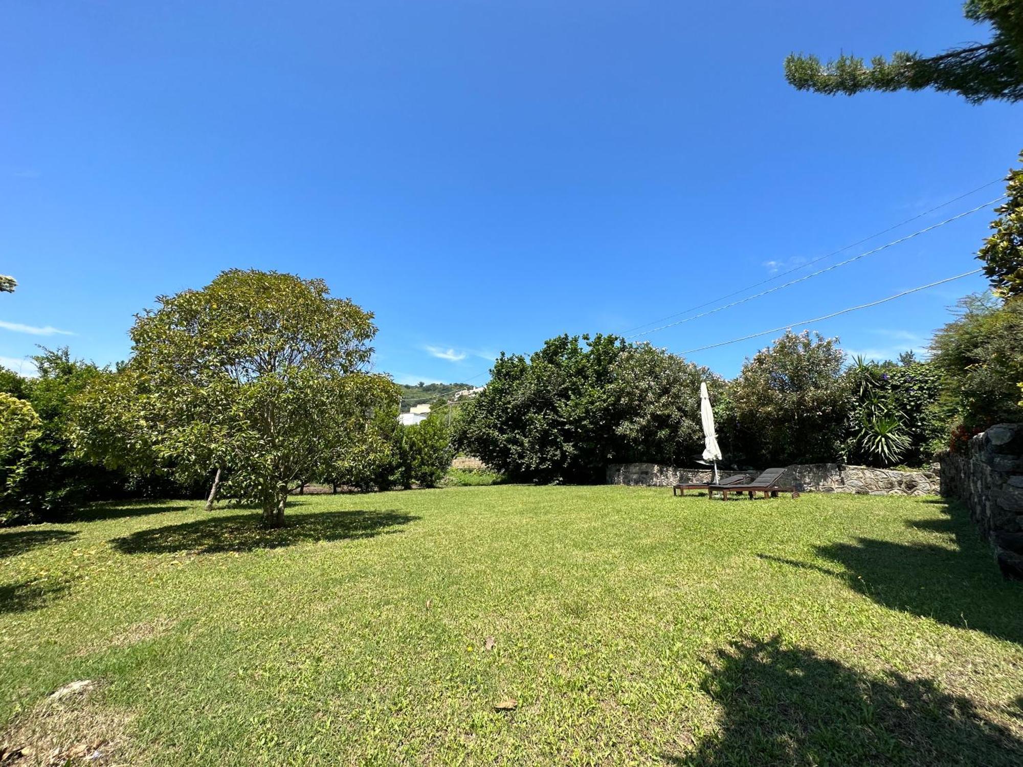 Villa Vincenzo Di Meglio Barano dʼIschia Zewnętrze zdjęcie