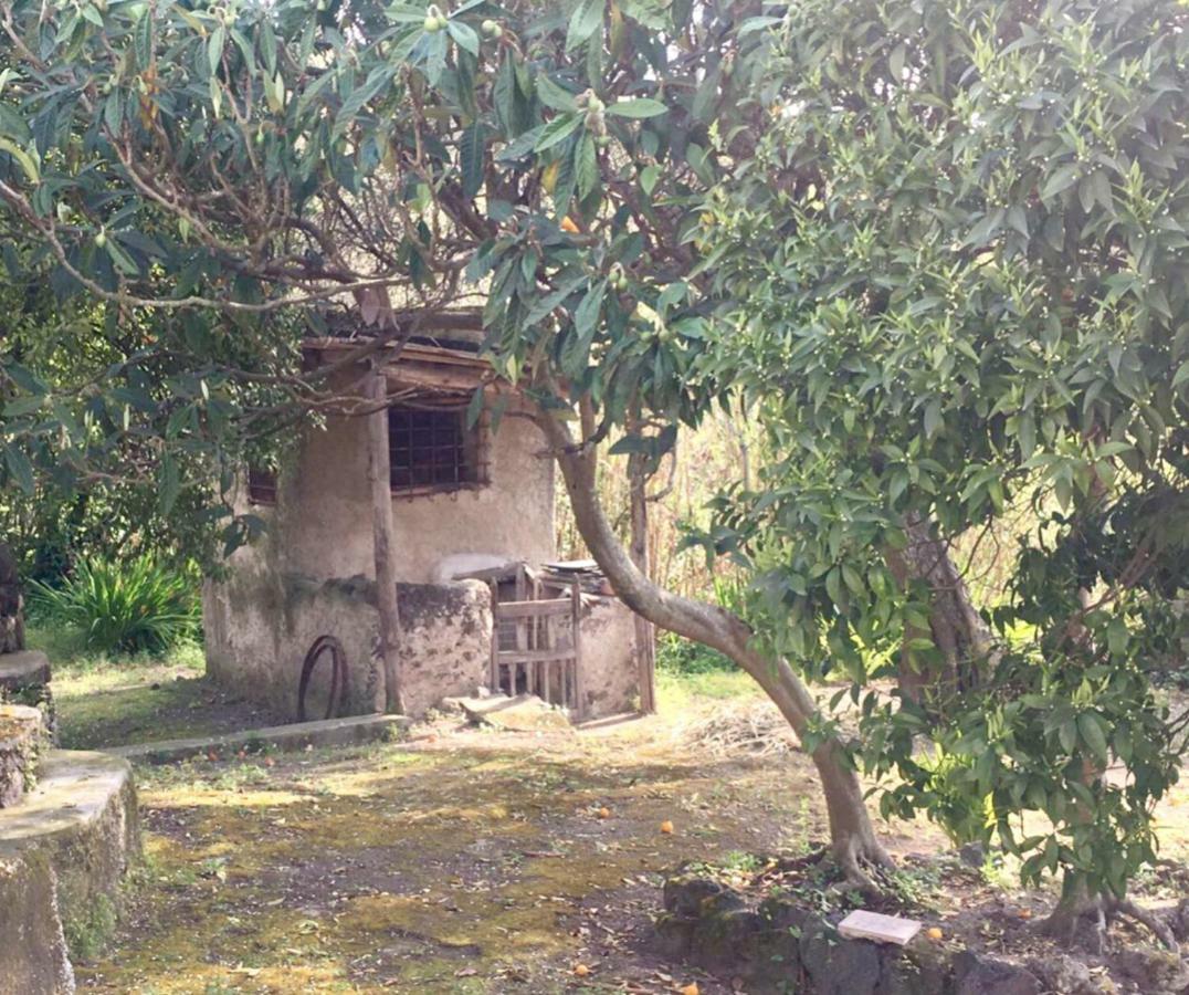 Villa Vincenzo Di Meglio Barano dʼIschia Zewnętrze zdjęcie