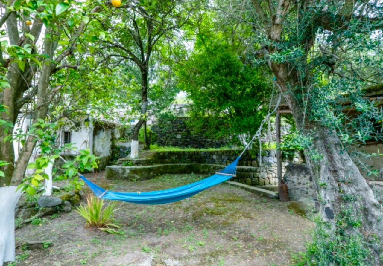 Villa Vincenzo Di Meglio Barano dʼIschia Zewnętrze zdjęcie