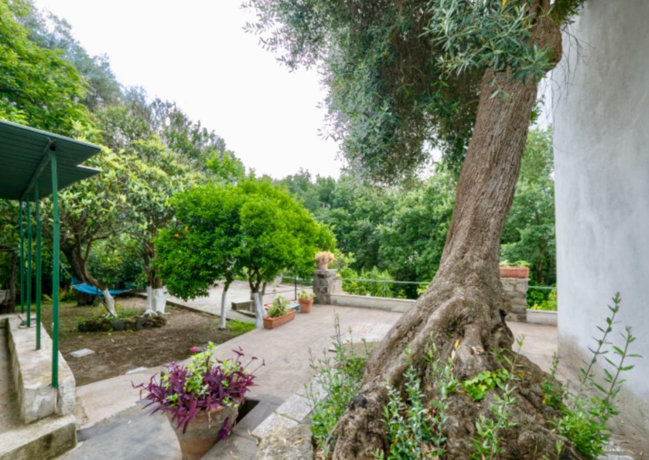 Villa Vincenzo Di Meglio Barano dʼIschia Zewnętrze zdjęcie