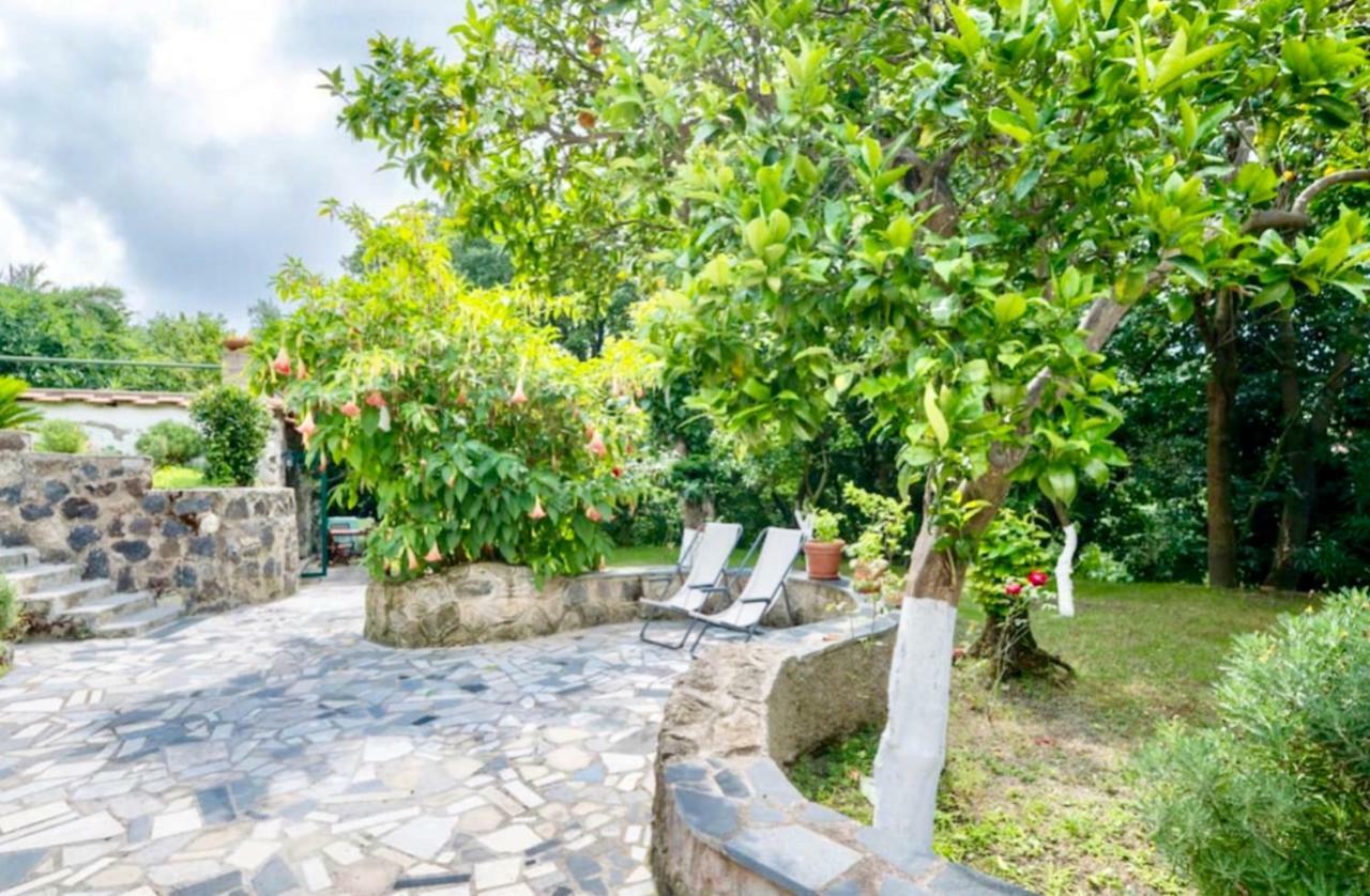 Villa Vincenzo Di Meglio Barano dʼIschia Zewnętrze zdjęcie