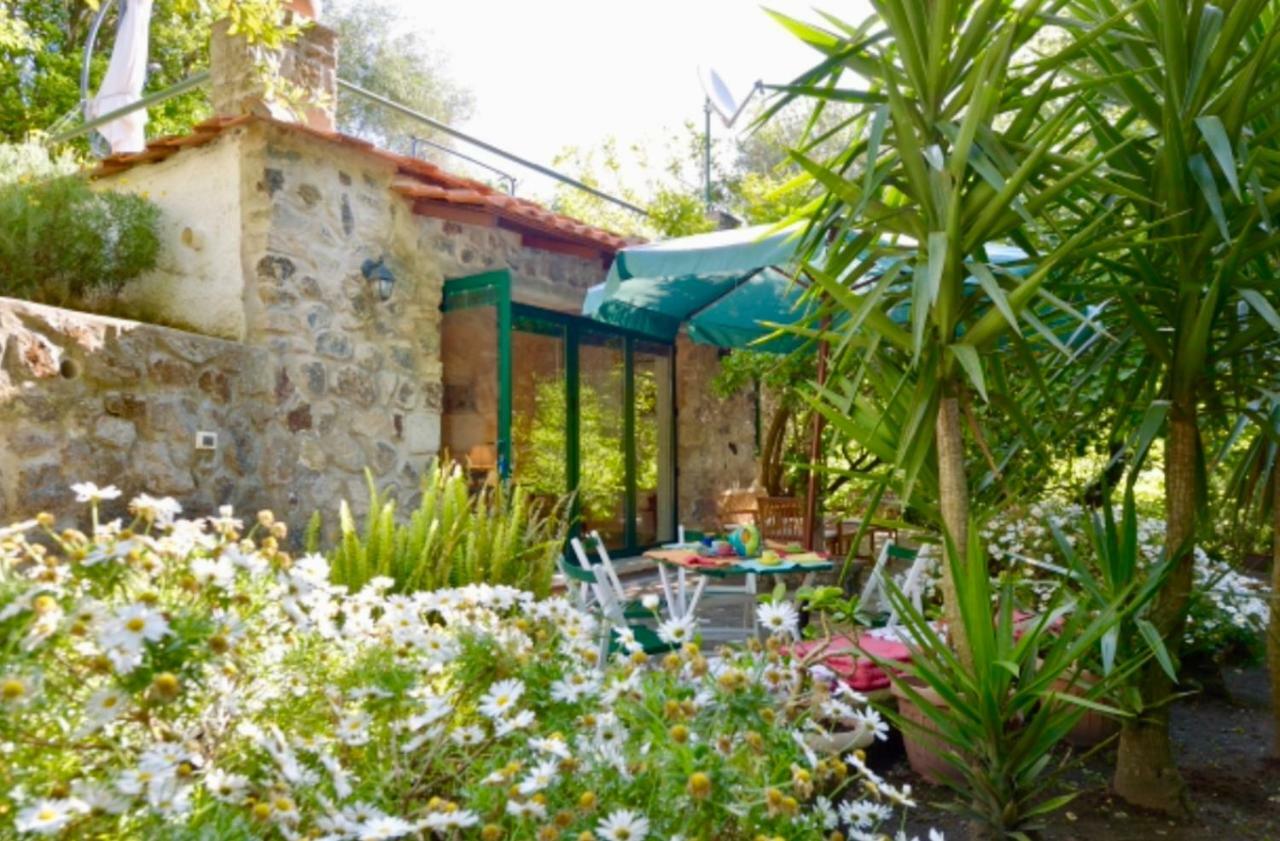 Villa Vincenzo Di Meglio Barano dʼIschia Zewnętrze zdjęcie