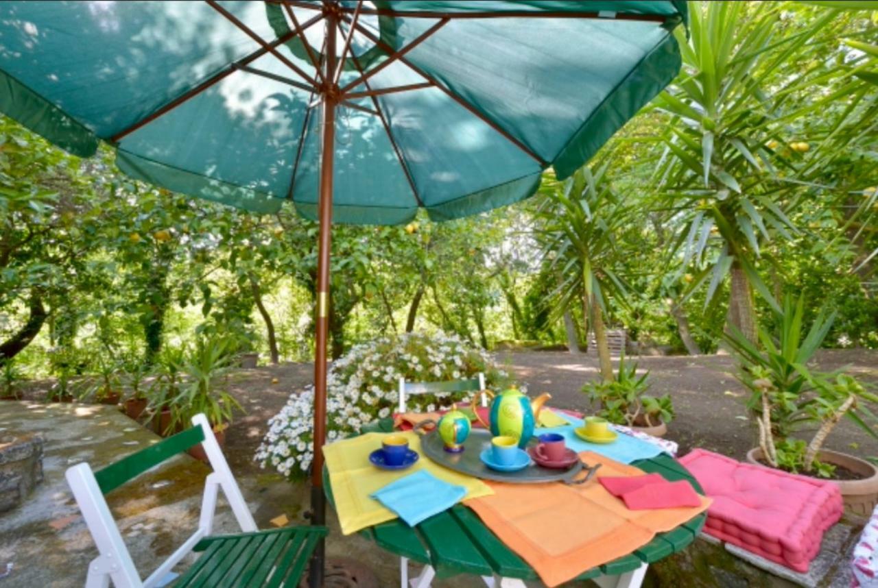 Villa Vincenzo Di Meglio Barano dʼIschia Zewnętrze zdjęcie