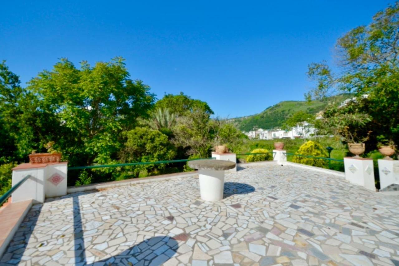 Villa Vincenzo Di Meglio Barano dʼIschia Zewnętrze zdjęcie